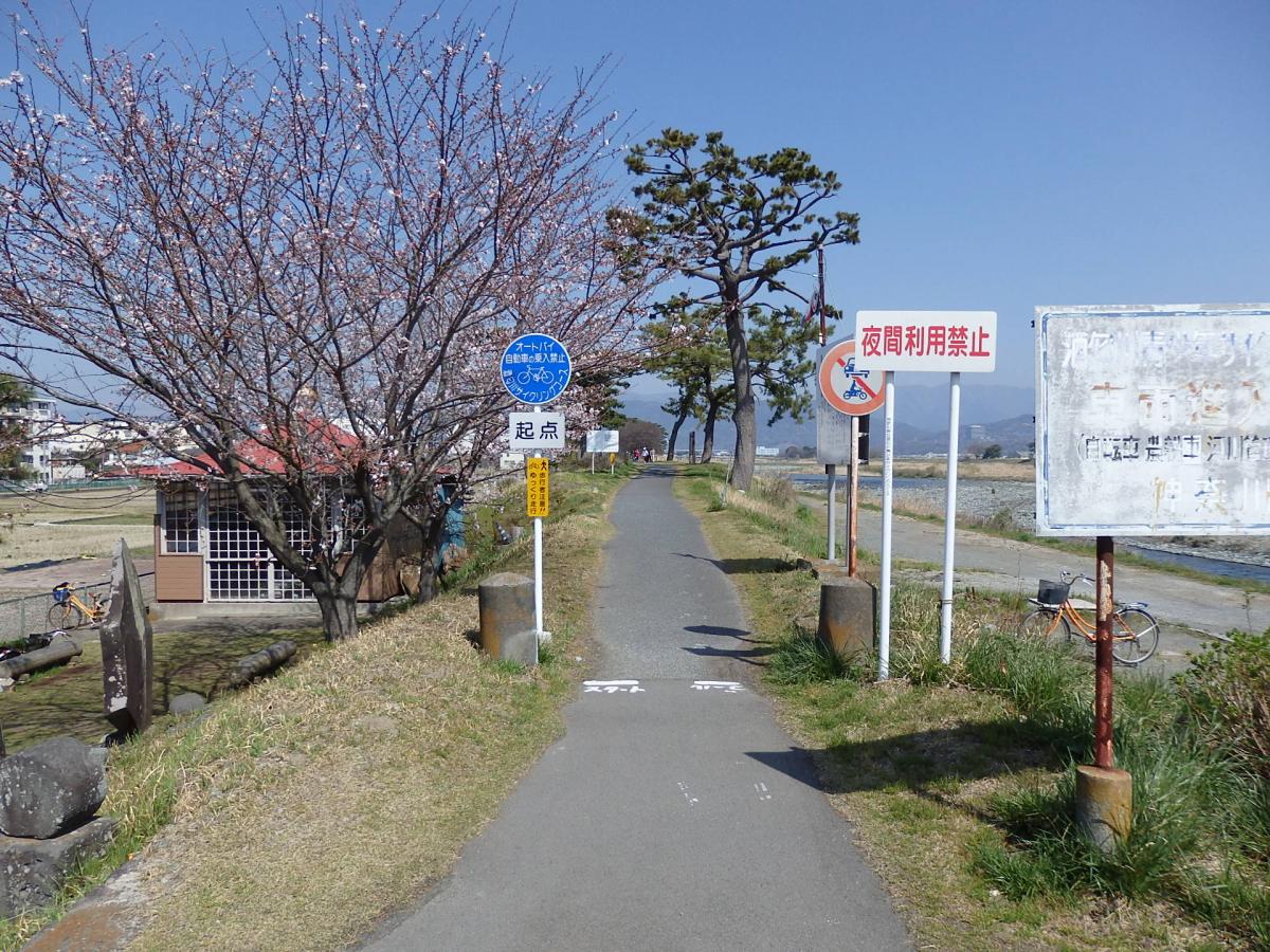 2015.3.30春の酒匂川サイクリングコース１